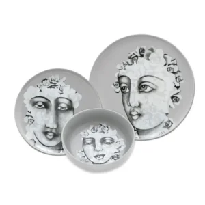 DINNERWARE 12pc SET  Succulent Faces