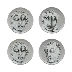 SIDE PLATE SET OF 4  Succulent Faces